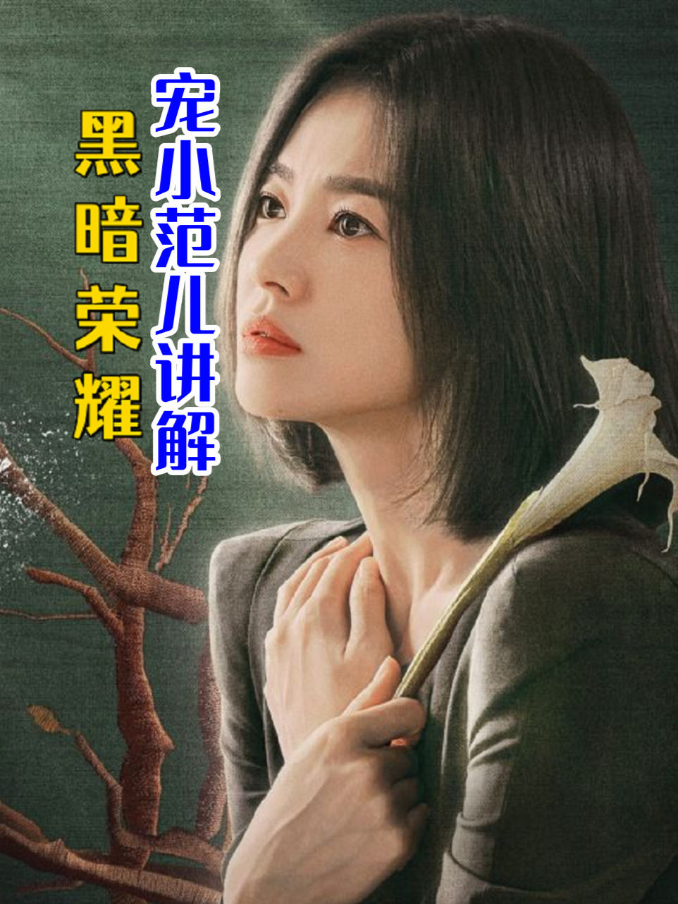 宠小范儿讲解黑暗荣耀